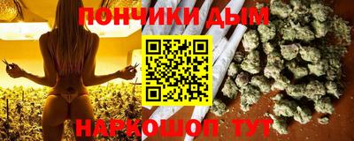 гашик Будённовск