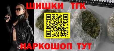 гашик Будённовск