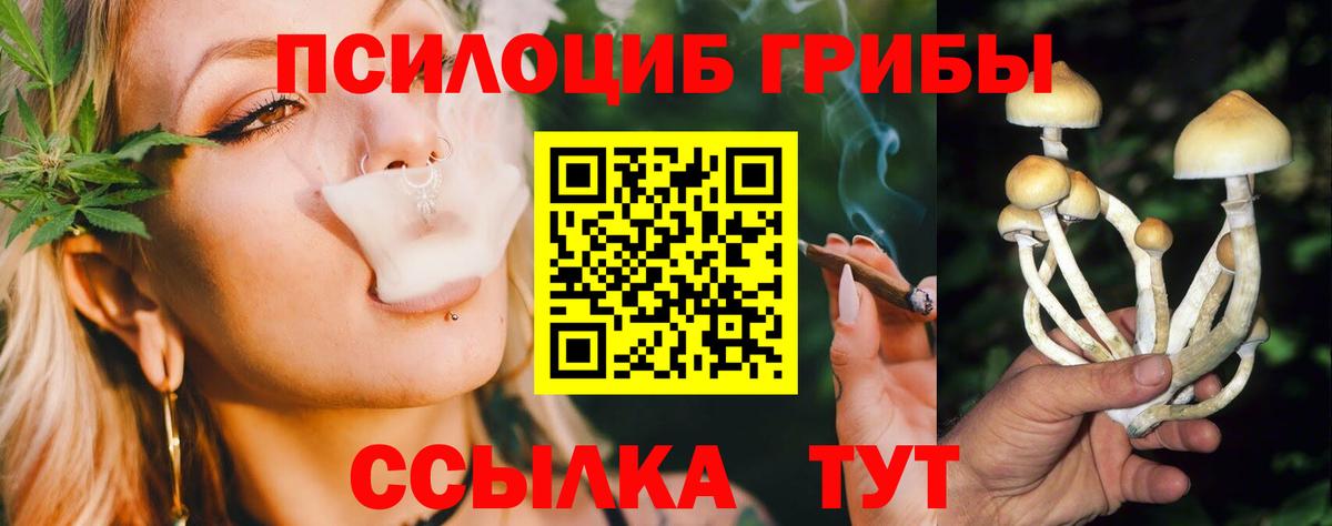 Псилоцибиновые грибы мухоморы  дарнет шоп  Чехов  Вход с VPN 